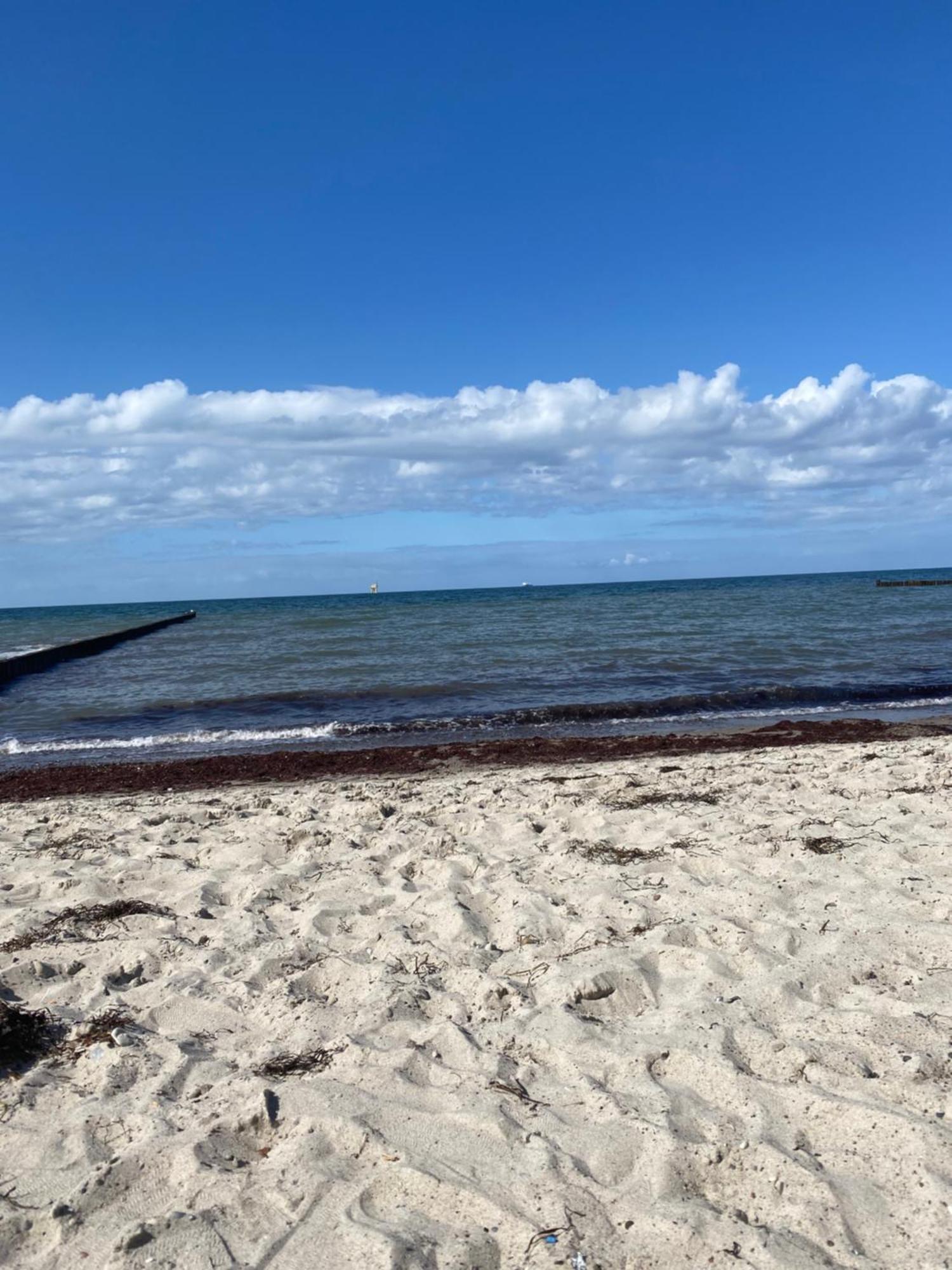 Ostsee-Ferienwohnung-Lipsia Ostseebad Nienhagen Eksteriør bilde
